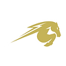 Heritage Hall High School Football
